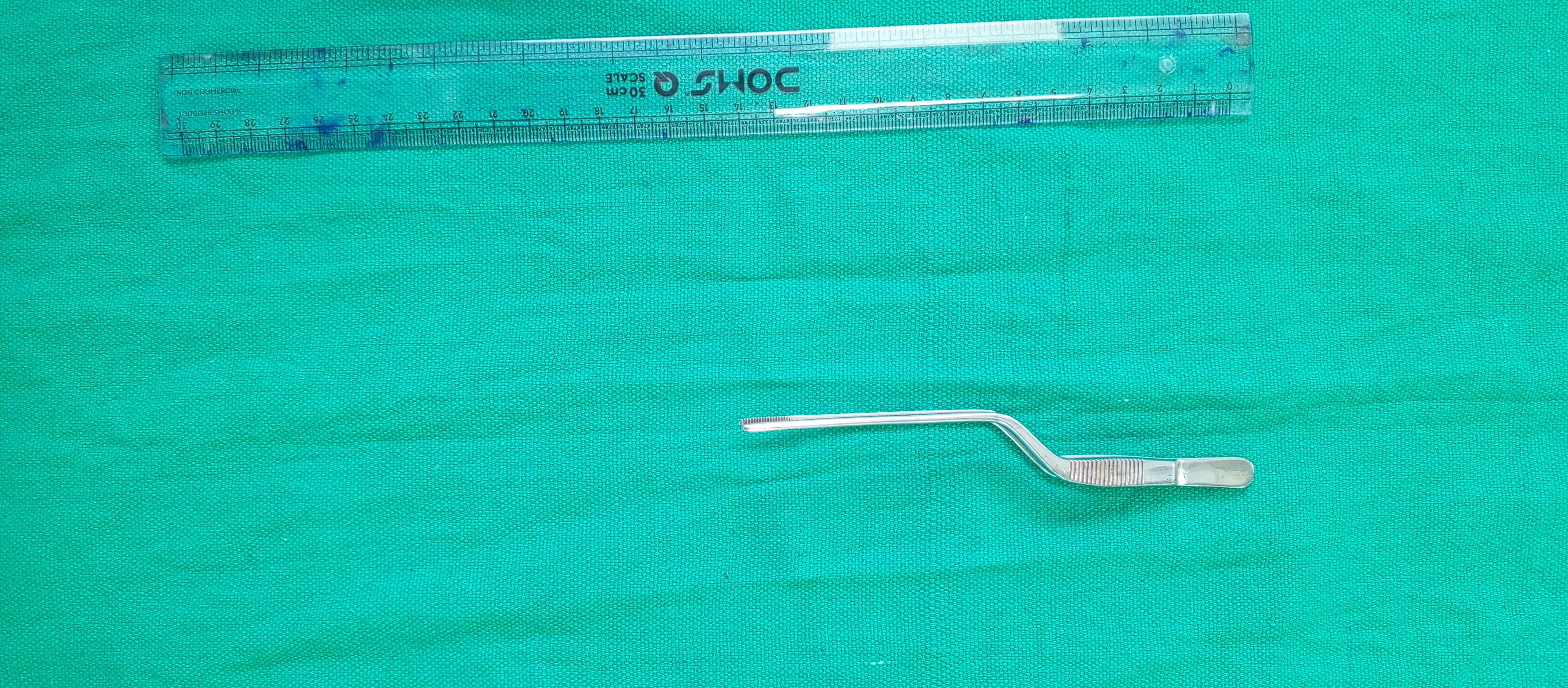 Diisecting Forcep Bayonet Shaped